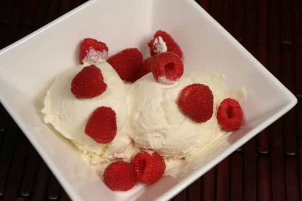 Vanilla Custard Ice Cream 11